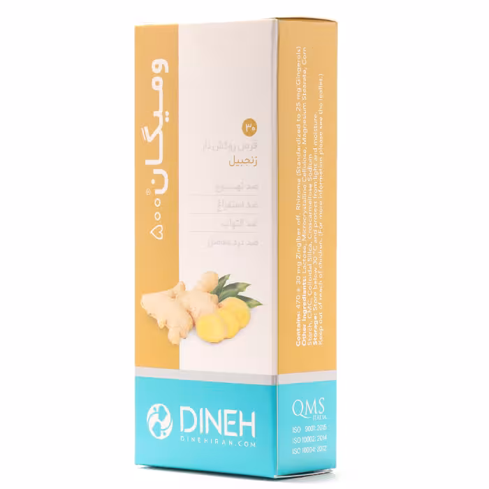 قرص ومیگان دینه 30 عددی