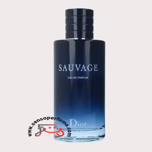 عطر ادکلن دیور ساواج ادوپرفیوم | dior sauvage eau de parfum