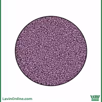 ترافل توپی بنفش