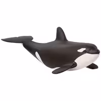 بچه نهنگ قاتل اشلایش Schleich