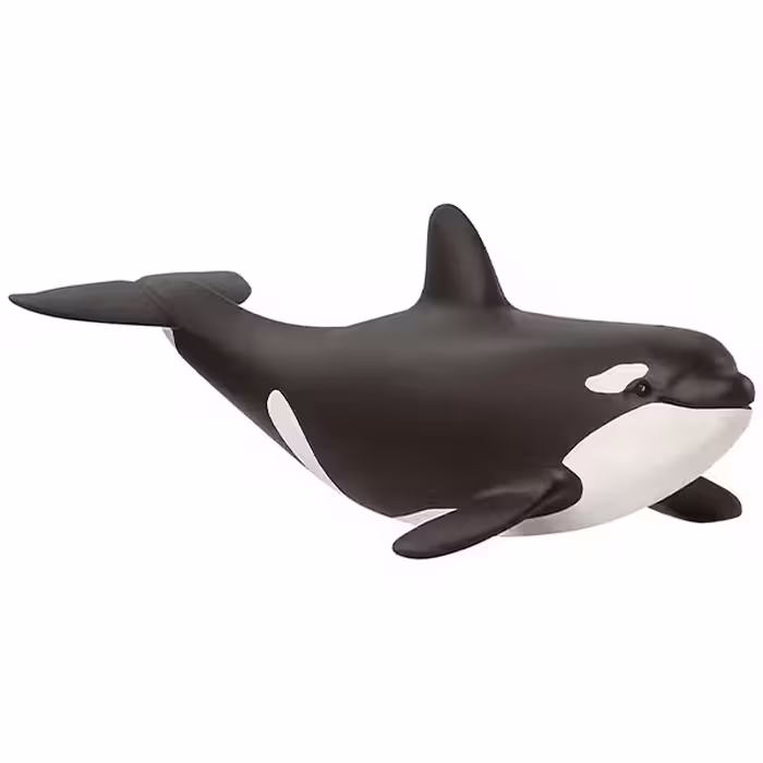 بچه نهنگ قاتل اشلایش Schleich