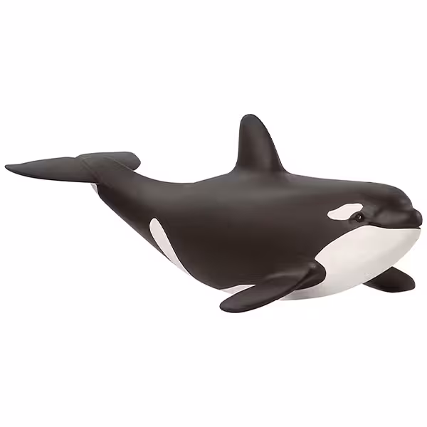 بچه نهنگ قاتل اشلایش Schleich