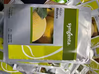 بذر ملون بشرا هیبرید