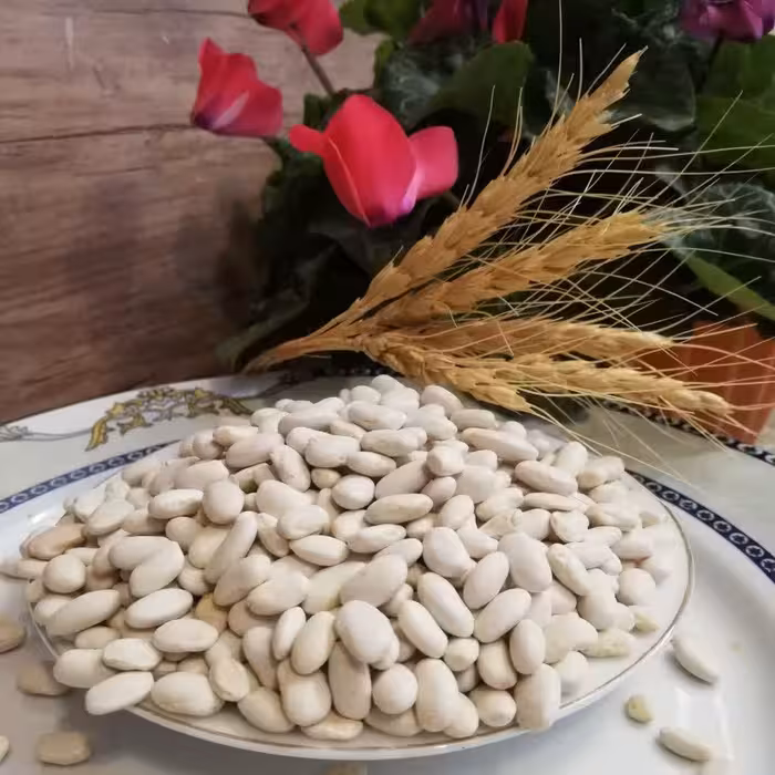 لوبیا سفید (2 کیلوگرمی)(ارسال رایگان)