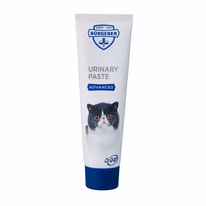 خمیر گربه بانگنر مخصوص مراقبت از مجاری ادراری وزن 100 گرم