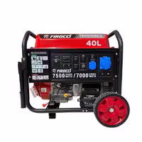 موتور برق بنزینی 17 اسب بخار فیروکسی مدل FSG12000E2-V-RC
