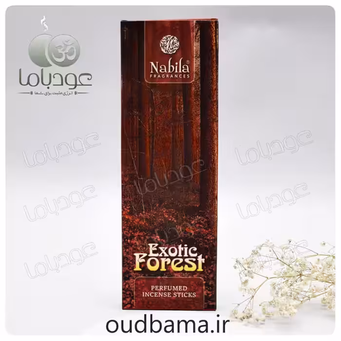 عود دست ساز جنگل عجیب اگزوتیک فورست EXOTIC FOREST ( نابیلا NABILA )