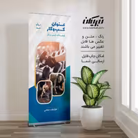 رول آپ باشگاه