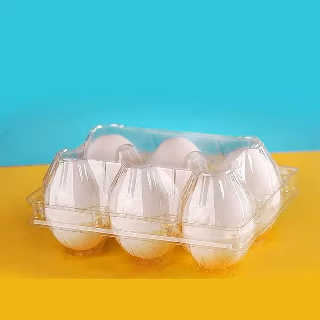 ظرف تخم مرغی پت 6 عددی