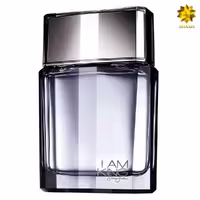 ادکلن Sean John I Am King Edt حجم 100 میلی لیتر