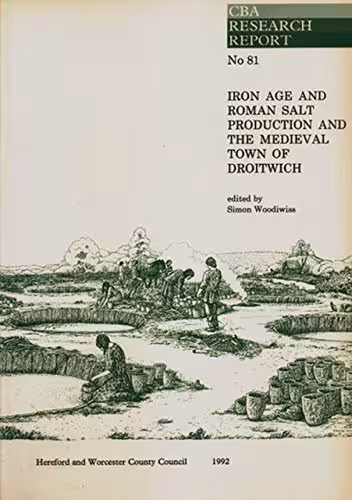 خرید و دانلود نسخه کامل کتاب Iron Age and Roman Salt Production and the Medieval Town of Droitwich: Excavations at the Old Bowling Green and Friar Street
