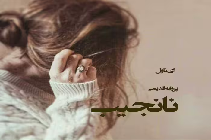 رمان نانجیب pdf