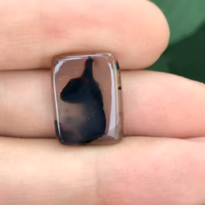 نگین عقیق شجر  مدالی و انگشتری با طرح سر و گردن آهو خاص