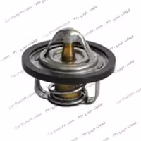 ترموستات دوو ریسر ICRBI