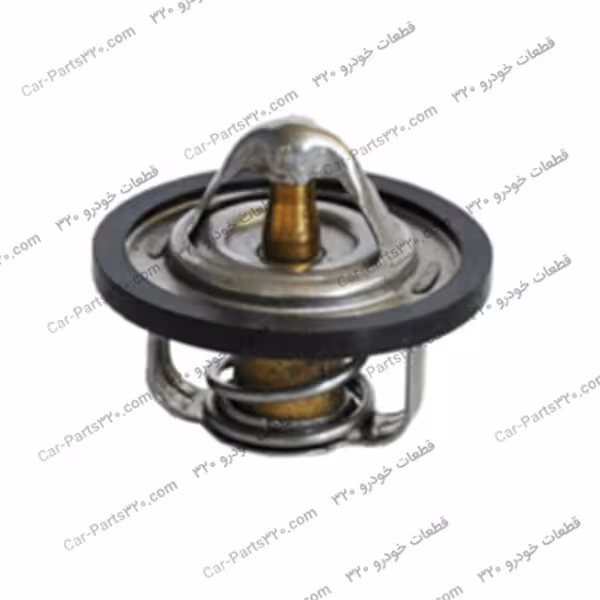 ترموستات دوو ریسر ICRBI