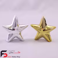 مجسمه ستاره دریایی ایستاده pvd