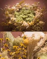 بک دراپ عکاسی نوزاد گل های پاییزی | گرافیک با طعم تربچه