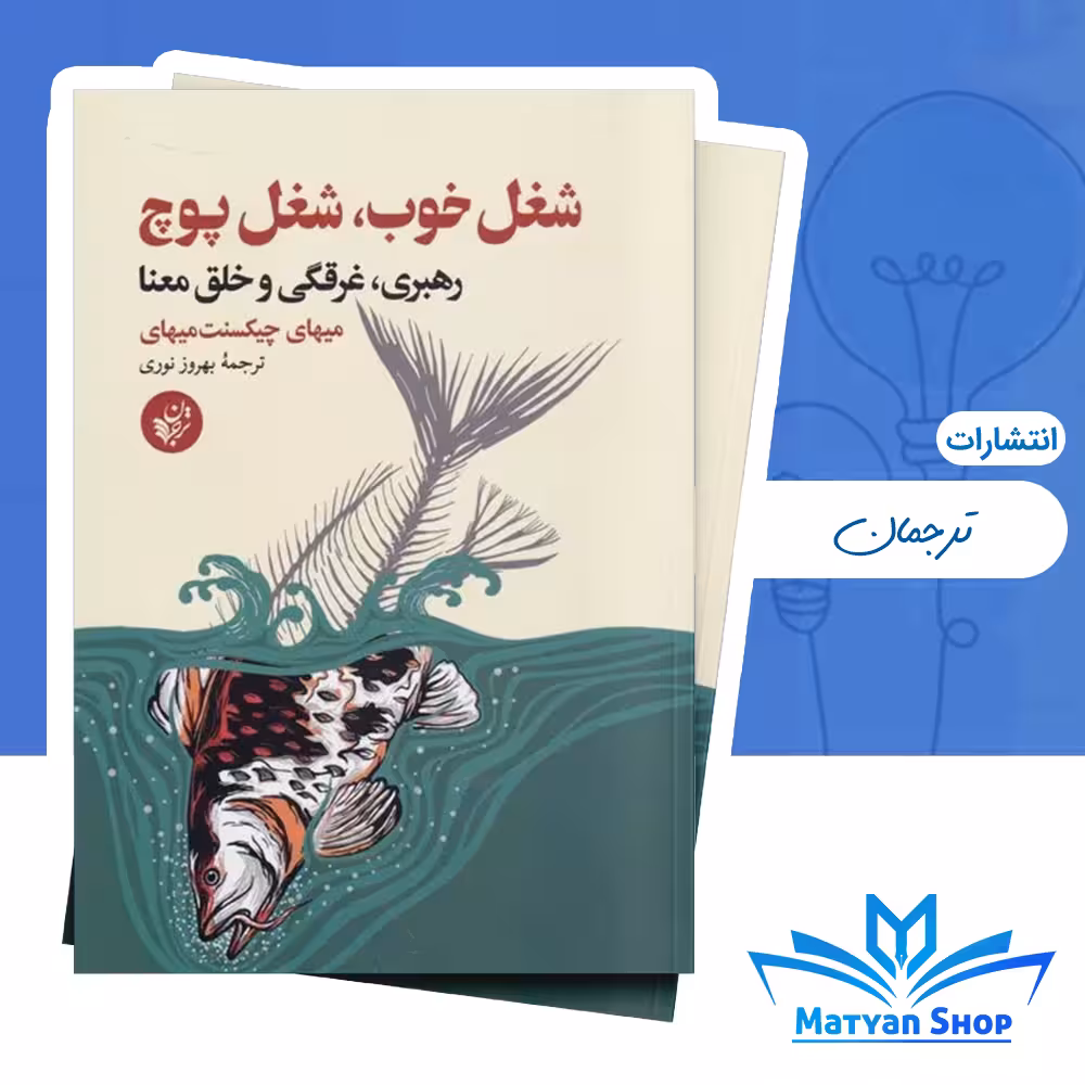 کتاب شغل خوب، شغل پوچ از نشر ترجمان