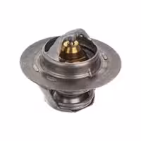 ترموستات ولکس C30