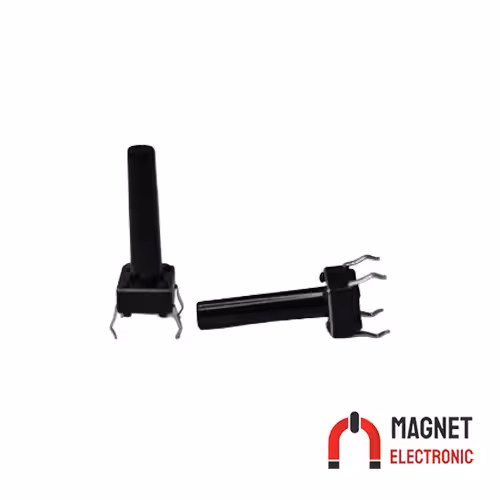 تک سوئیچ دو پین 18*6*6