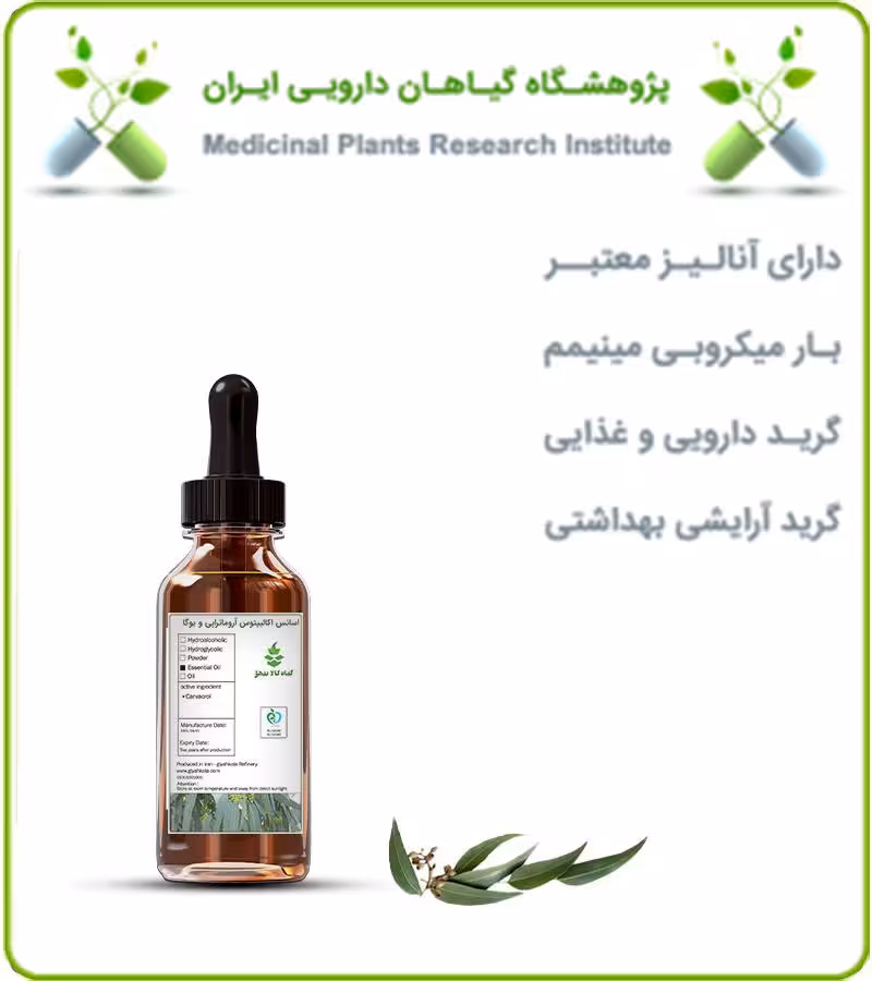 اسانس اکالیپتوس مخصوص آروماتراپی و یوگا
