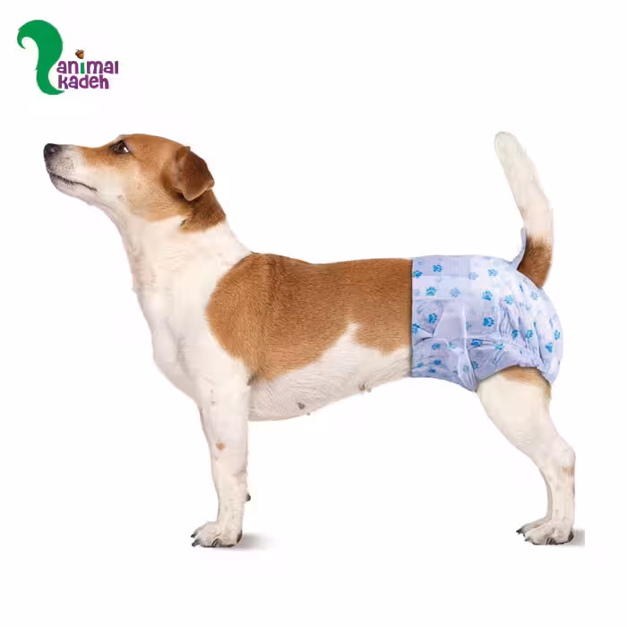 پوشک سگ ماده بسته 10 عددی (سایز ایکس اسمال)