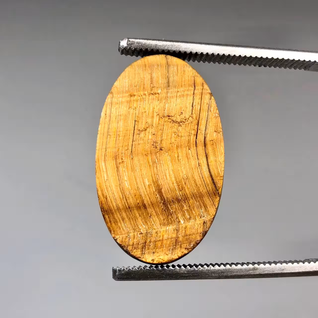 راف سنگ چشم ببر طبیعی زرد 250939