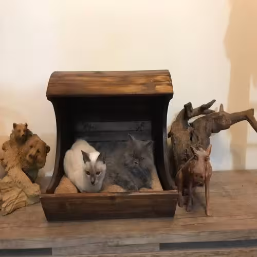 جای خواب چوبی گربه و سگهای کوچک