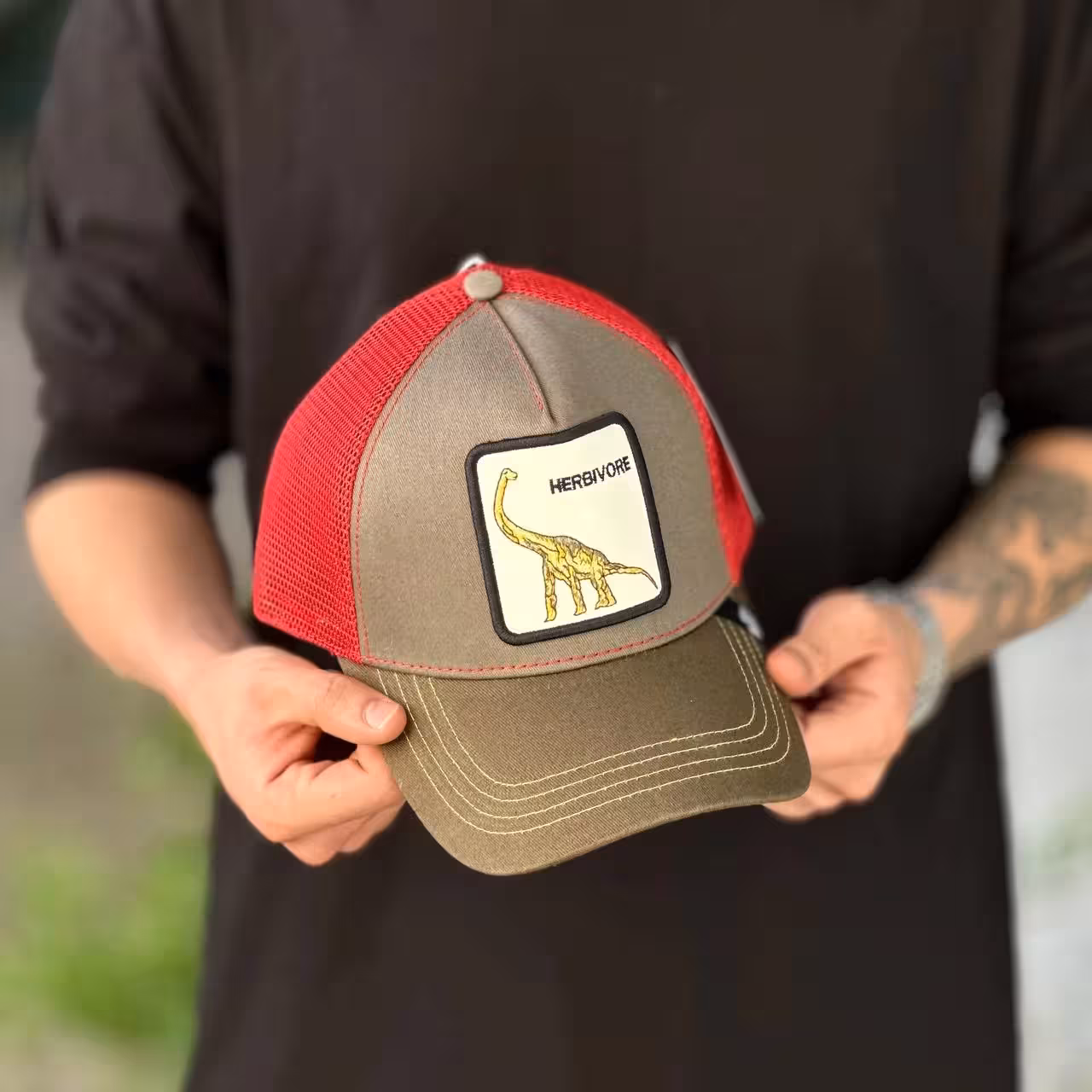 کلاه گورین herbivorce