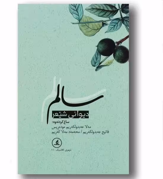 دیوانی شیعر سالم