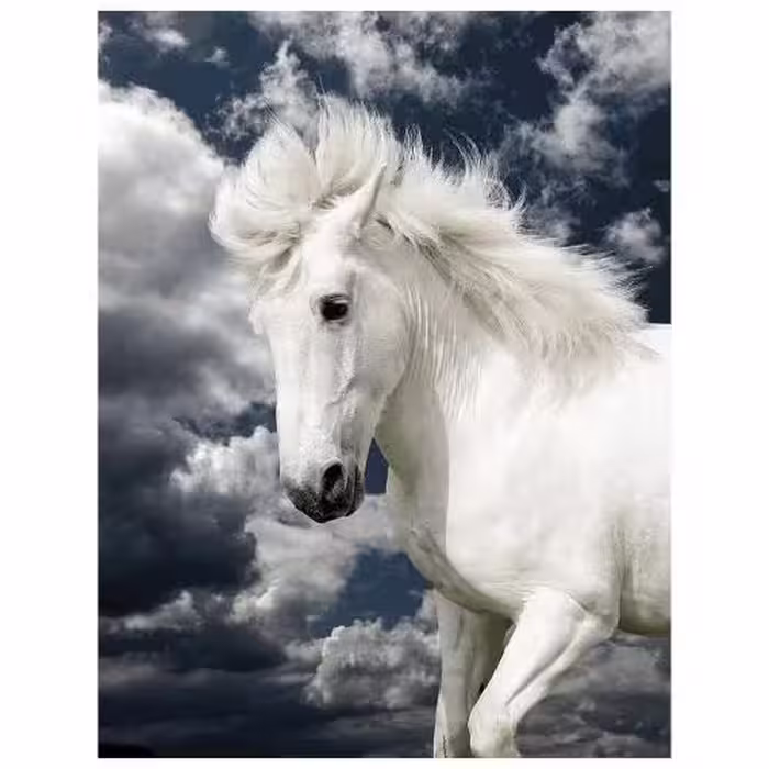 حیوانات مدل اسب کد 26077