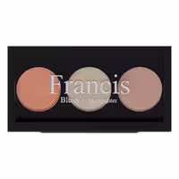 فرانسیس پالت رژگونه و هایلایتر 102