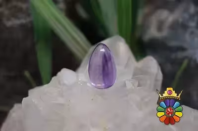 امتیست دامله(کاپوشی)