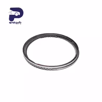 رینگ پیستون 372-1DE1004030 چری