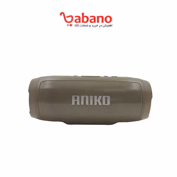 اسپیکر بلوتوث پی نت مدل 8920