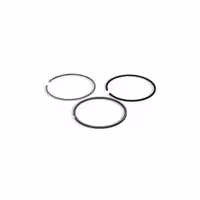 رینگ پیستون سانگ یانگ موسو