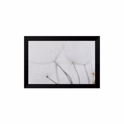 تابلو دکوراتیو کد set2-10 مجموعه 4 عددی