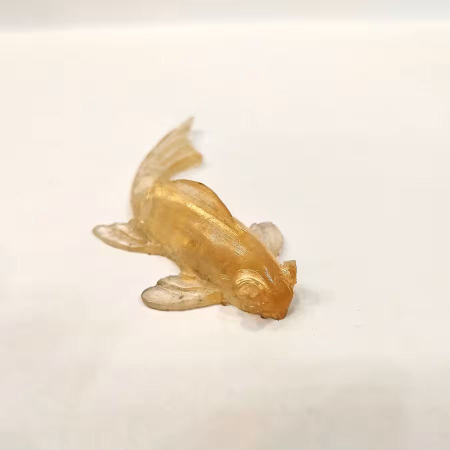 ماهی رزینی کوچک