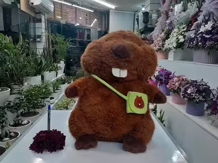 عروسک سگ آبی بزرگ