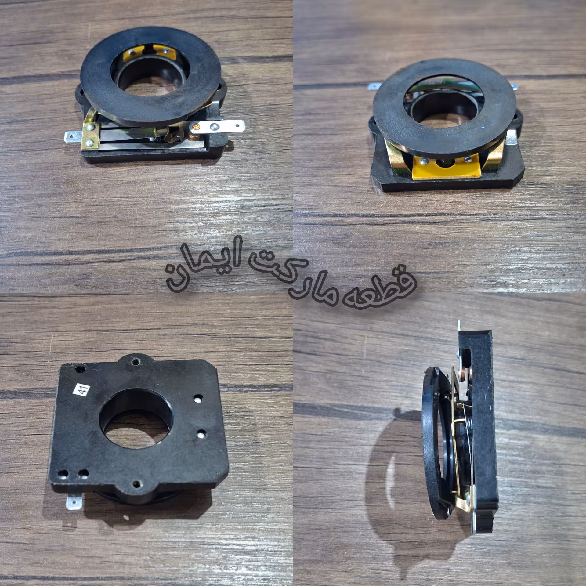 پلاتین دینام بلغاری