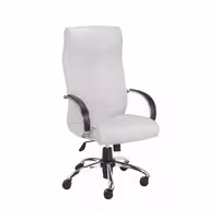 صندلی مدیریتی پویا مدل M701