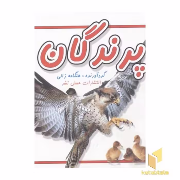 کتاب پرندگان قطع خشتی کوچک اثر هنگامه ژالی نشر عسل