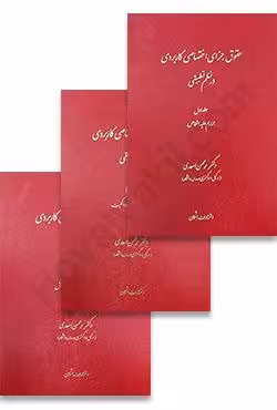 حقوق جزای اختصاصی کاربردی در نظم تطبیقی (سه جلدی)