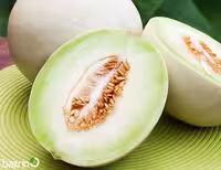 بذر خربزه هانی دیو گوشت سبز