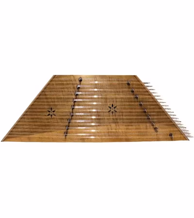 سنتور موسوی دو مهر ویژه