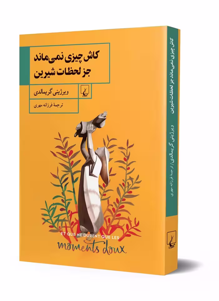 رمان کاش چیزی نمی ماند جز لحظات شیرین