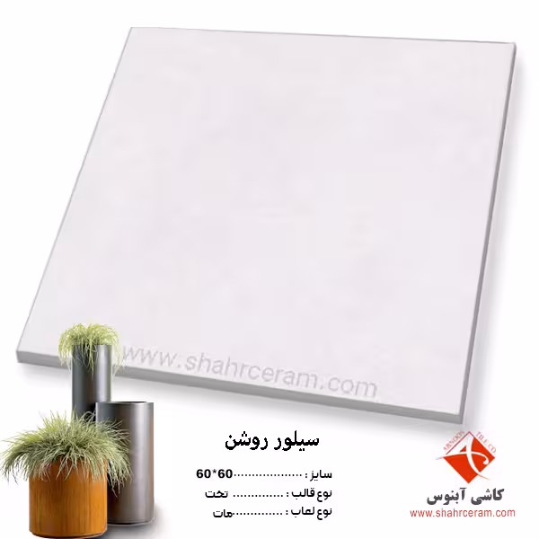 سرامیک سیلور روشن 60*60 کاشی آبنوس