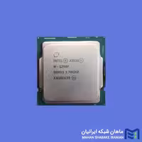 سی پی یو سرور Intel Xeon W-1290P Processor
