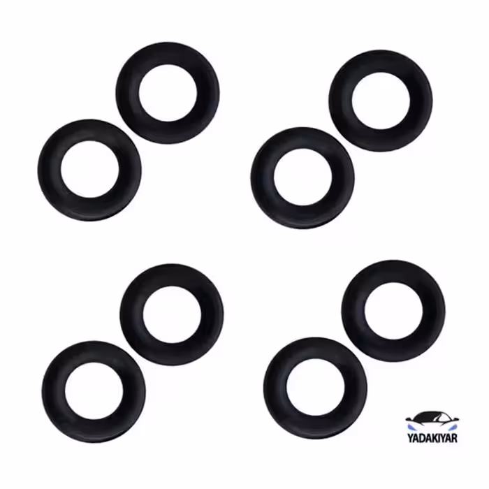 اورینگ انژکتور 405 – ویژن