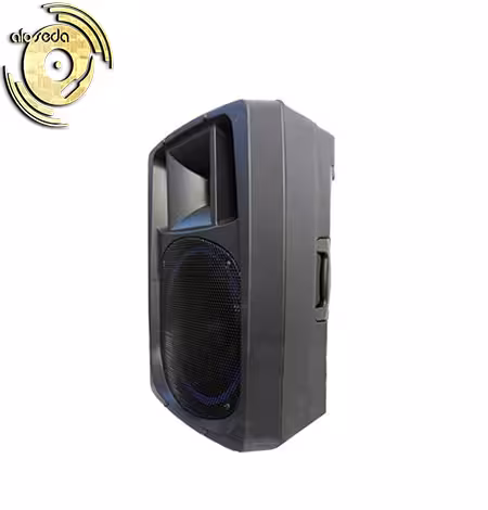 اکو همراه برین صوت Barin 3695